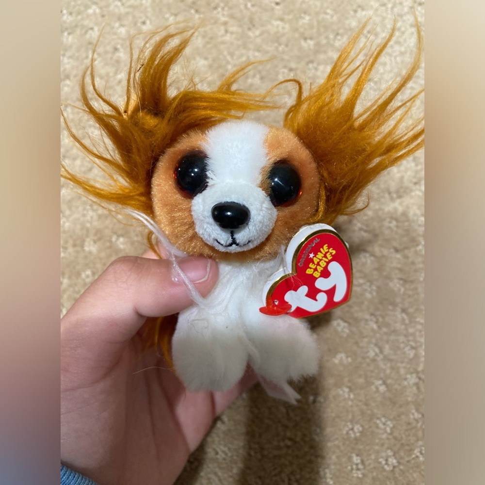 Cute dog beanie boo keychain
